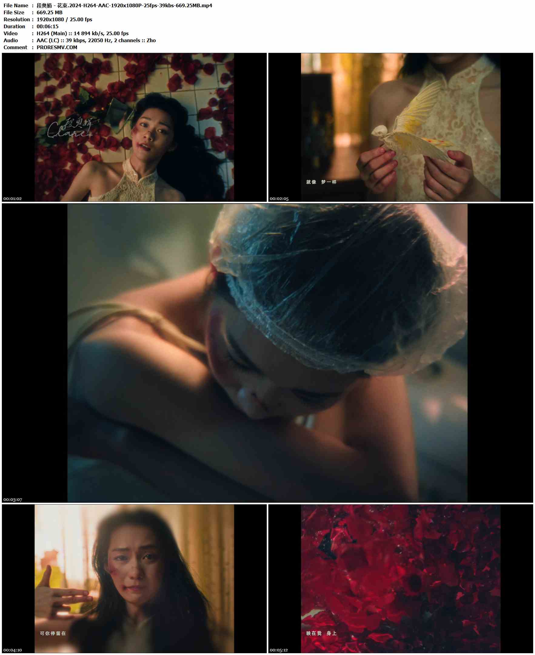 段奥娟 - 花束.2024-H264-AAC-1920x1080P-25fps-39kbs-669.25MB官方MV_高清MV